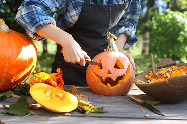 Vendita Zucca di Halloween