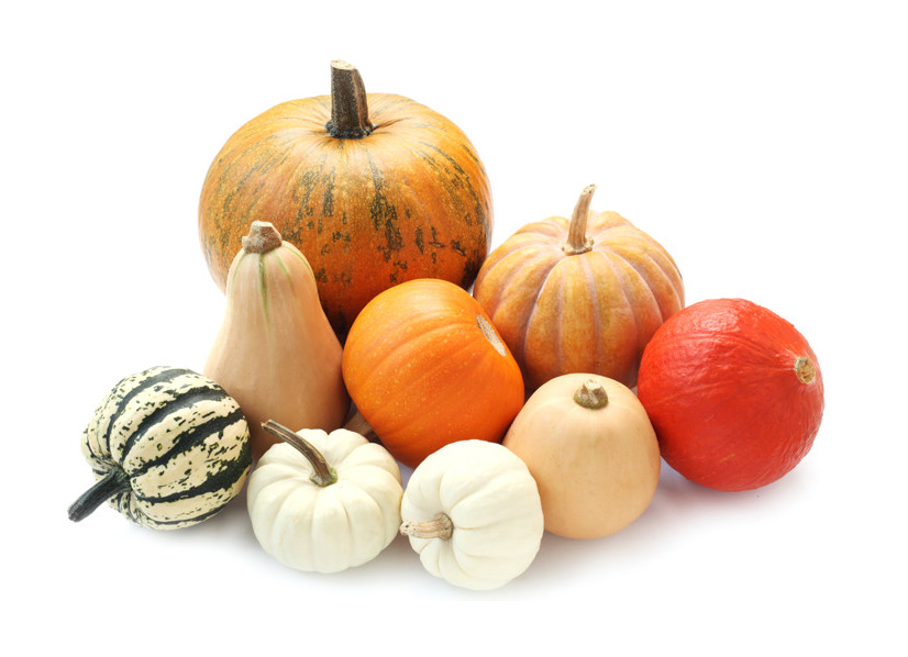 Vendita Zucca Ornamentale